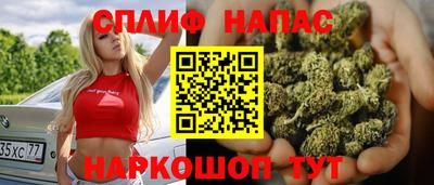 альфа пвп Новодвинск