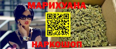 альфа пвп Новодвинск