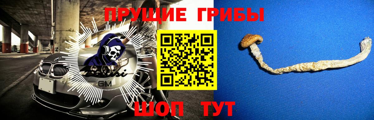 Фурманов  Псилоцибиновые грибы MAGIC MUSHROOMS  Вход с VPN  Псилоцибиновые грибы прущие грибы 